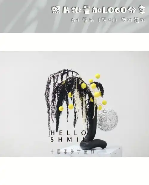 梦幻西游私服v2.9.9 安卓版 1